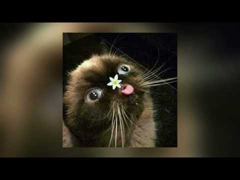 Eyez Hate U - YKWIW... [SPED UP]