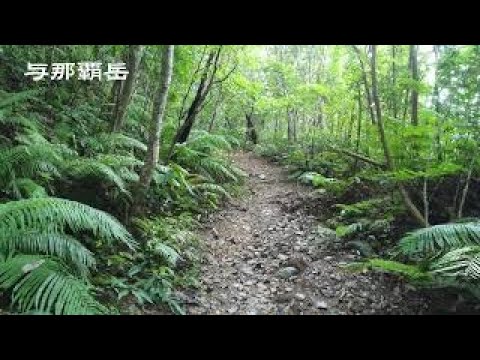 与那覇岳　散策