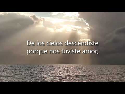 Himno 290 – Fuente de la vida eterna (PISTA)