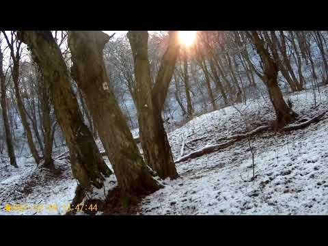 2021 0109 134548 016