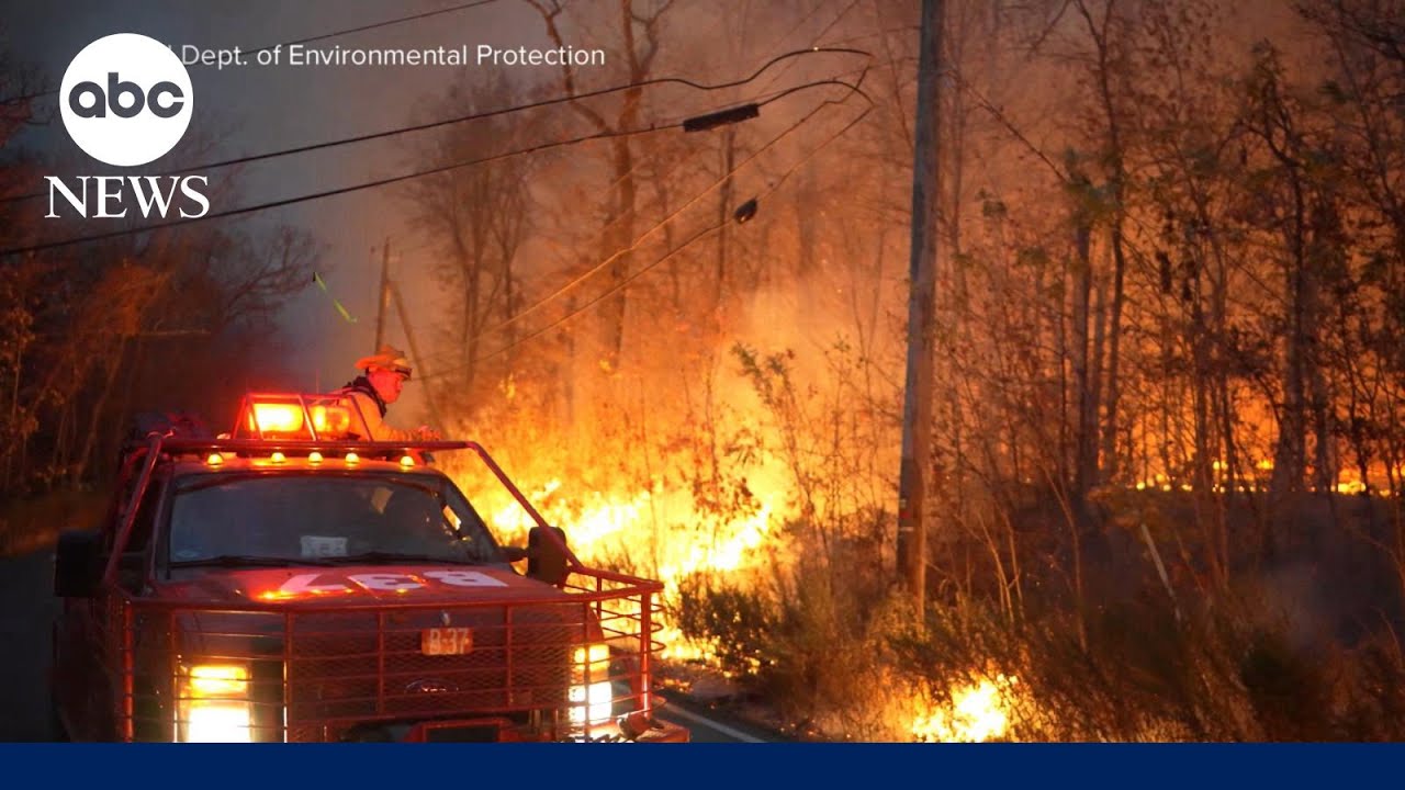 Wildfire at New Jersey-New York border delays historic Veterans Day parade