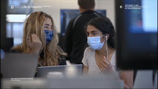 Arbeiten bei Palantir