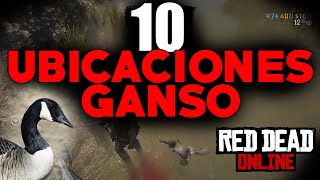 10 UBICACIONES de GANSO 🦆 en RED DEAD ONLINE - Desafíos Diarios