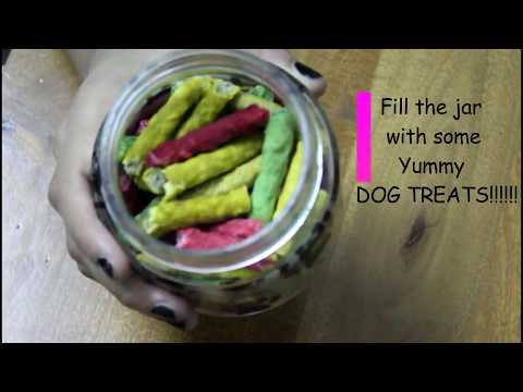 DIY DOG TREAT JAR
