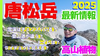 [Mt. Karamatsu] Recommended for your first time in the Northern Alps! Check the route details in ...