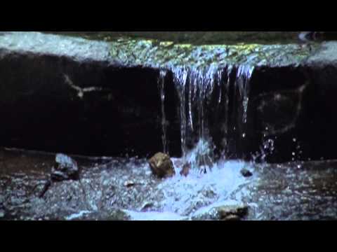 Sony HDR-XR550 Slow Motion Test & Tutorial