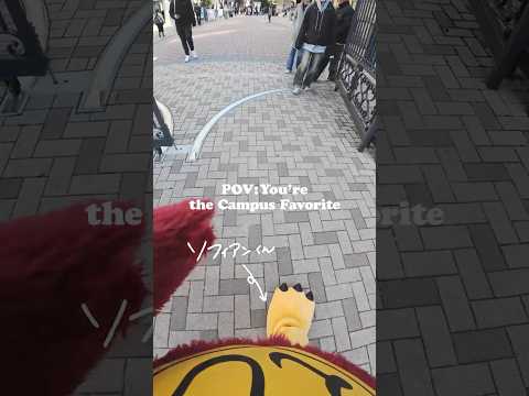 POV: You're the Campus Favorite ー あの子がキャンパスを歩いたら