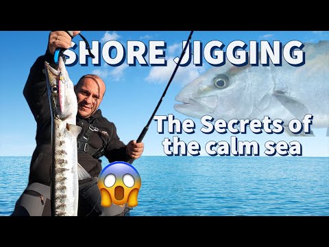 Shore Jigging: How to take advantage of a calm sea to get FISH! Full Explanation!
