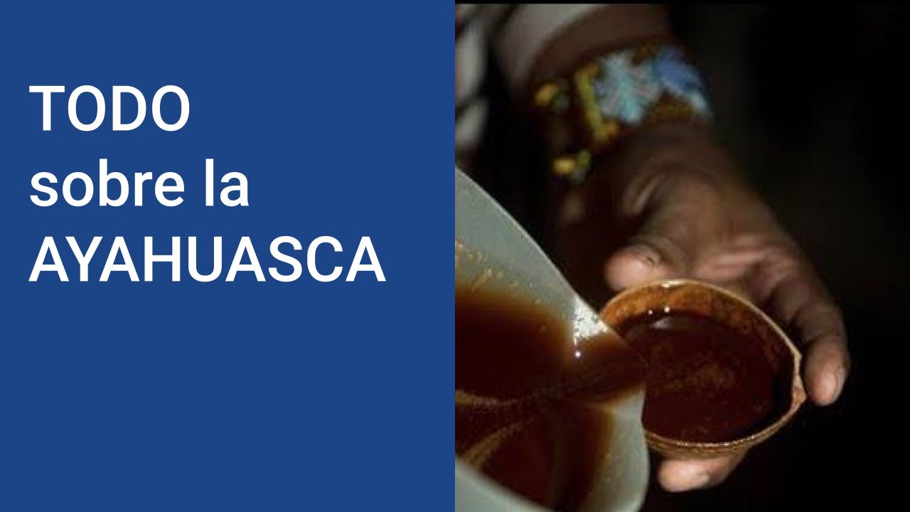 AYAHUASCA: ¿Qué es la ayahuasca y que EFECTOS tiene la ayahuasca ¿Dónde pruebo la ayahuasca