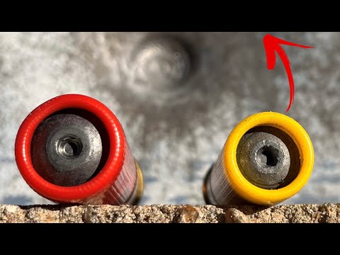 12 Gauge vs 20 Gauge Slugs: Unexpected Results