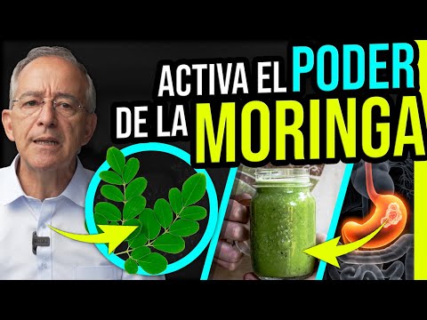 🌱 ASI SE PREPARA Y Consume La MORINGA - Oswaldo Restrepo RSC