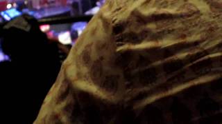 Steve Wariner   Instrumental