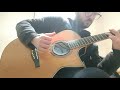 Laurence Juber/Preston Reed - Private dick (acoustic guitar cover)