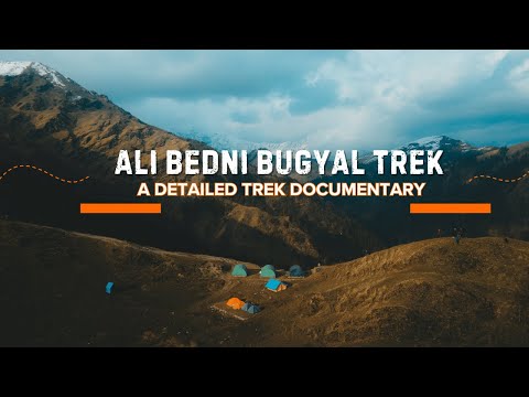 Ali Bedni Bugyal Trek, A Detailed Trek Documentary | By Mountain Expert Adhish From Trekup India