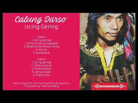 Darso   B1   Ucing Gering