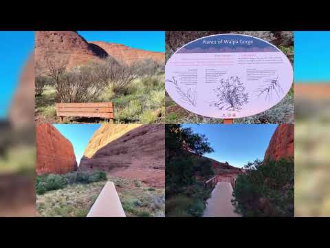 Walpa Gorge Walk - Kata Tjuta/The Olgas