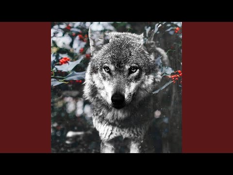 Wilczy instynkt (feat. Fily)