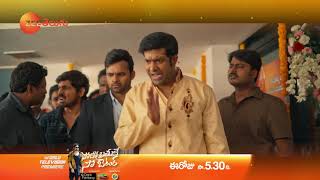 Solo Brathuke So Better World Television Premiere – 21st Feb, 5:30 PM  - ZEE Telugu