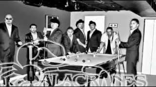 Alacranes Musical - Como una Gelatina 2011