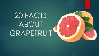 Download lagu 20 facts about Grapefruit mp3