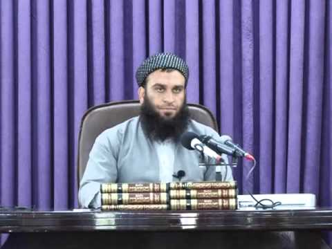 هەندێك لەوجۆرە شیركانە ئەمڕۆ لەناو كۆمەڵگادا باوە - مامۆستا علی خان
