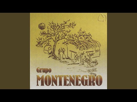 Gatito de Tchaikovsky