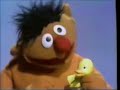 Plaza Sésamo Sesame Street Rubber Duckie Latin Spanish