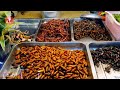 EKELHAFT oder Lecker? 🐛 Insekten in EU Lebensmitteln - Die Thailand Sicht darauf