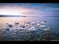 Дмитрий и Дарья Шпарук - ребята Севастопольской прописки 