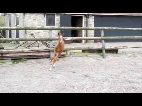 Jeans v Arezzo x Indoctro x Goodwill x Nimmerdor x Erdball xx