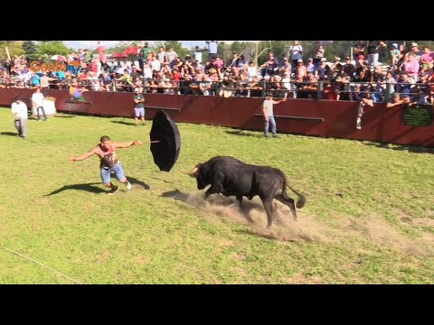 Imagens do Picnic e Festa Brava de Gente da Nossa com a Musica e Toiros - Sept.16_23 - #5