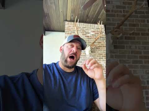 Do NOT Miss This… #shortsfeed #langley #congress #shortsvideo #goa Thumbnail