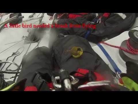 Panama Red - Mumm 36 | Oregon Offshore 2014