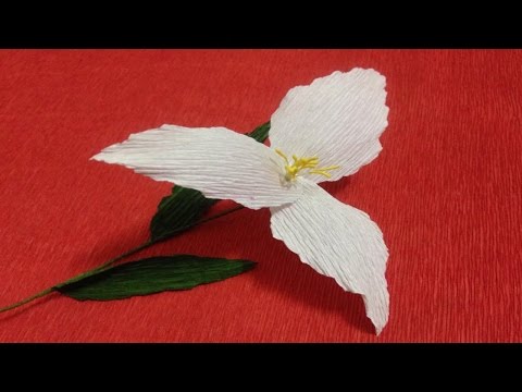 How to Make Trillium Crepe Paper Flowers - Flower Making of Crepe Paper - Paper Flower Tutorial