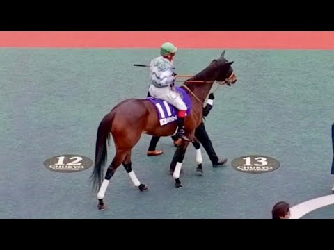 〈高松宮記念2024〉ラストラン前のメイケイエール