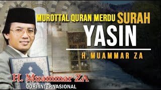Download lagu Bacaan Merdu Surah yasin MUAMMAR | Al-Quran Surah yasin سورة يٰسٓ mp3