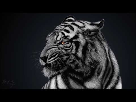 Dexodus x ROYAL BROHTERS x Zyco x Krohswell x Keku