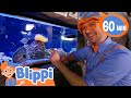 Aquarium Of The Pacific Fun With Blippi Blippi Educational Songs For Kids