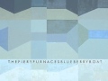 The Fiery Furnaces - Straight Street 