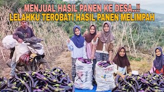 Download lagu MENJUAL HASIL PANEN KE DESA..!! LELAHKU TEROBATI HASIL PANEN MELIMPAH mp3 Download lagu MENJUAL HASIL PANEN KE DESA..!! LELAHKU TEROBATI HASIL PANEN MELIMPAH mp3