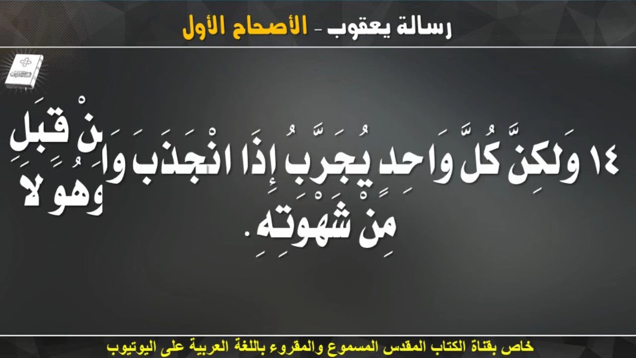 فيديو تفسير الكتاب المقدس | الكتاب المقدس رفيقي