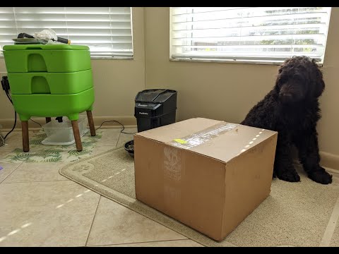 Hot Frog Composter Day 117 - Expansion Tray Set Unboxing - Set Up and Feeding - Vermicomposting PT 1