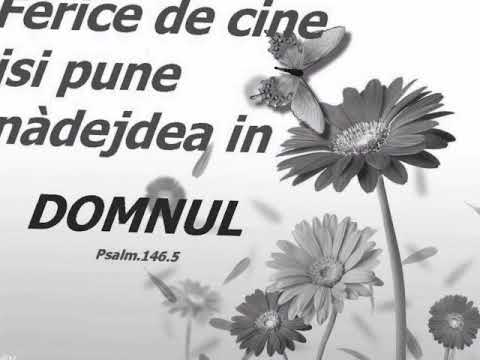 Neprihănită dragoste dintâi - video