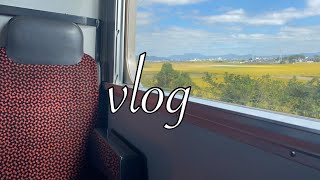 【vlog】仕事の日/平日/日常
