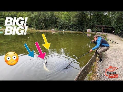 GREWALD GOES BIG 💪🔥: Jetzt wird's GROSS 😳. EWALD'S BESTES rasiert auch hier!