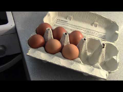 MongoTV_1190 - Mongo Madskole - 4 Spejlæg Med Lyse Basmati Ris