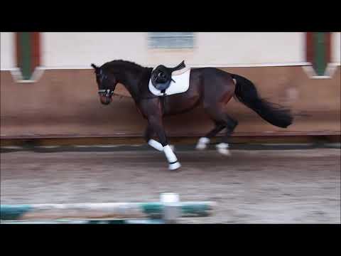 4j Wallach v. For Romance I