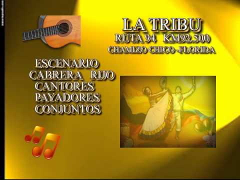 CONTENIDOS  RADIO  Y TV CHAMIZO  CHICO 2014 PROMO