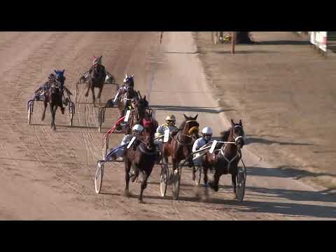 2020.02.01. 01. futam - MEGNYITÓ DÍJ