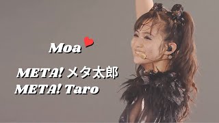 BABYMETAL - Meta Taro『メタ太郎』 (MOAMETAL mainly focus) | Live compilation